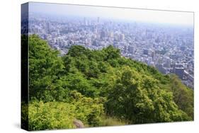 The View Out over Sapporo City from the Summit of Mt Maruyama, Hokkaido, Japan-Paul Dymond-Stretched Canvas