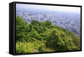 The View Out over Sapporo City from the Summit of Mt Maruyama, Hokkaido, Japan-Paul Dymond-Framed Stretched Canvas