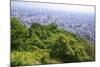 The View Out over Sapporo City from the Summit of Mt Maruyama, Hokkaido, Japan-Paul Dymond-Mounted Photographic Print