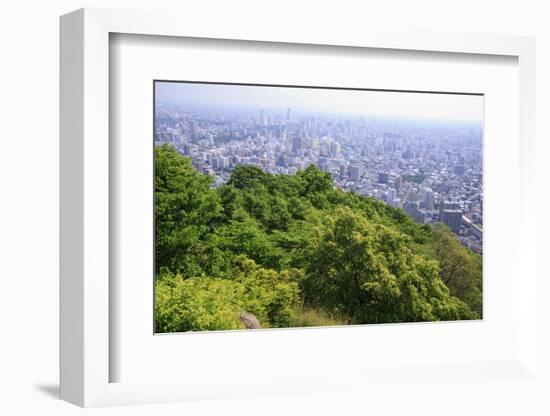 The View Out over Sapporo City from the Summit of Mt Maruyama, Hokkaido, Japan-Paul Dymond-Framed Photographic Print