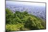 The View Out over Sapporo City from the Summit of Mt Maruyama, Hokkaido, Japan-Paul Dymond-Mounted Photographic Print