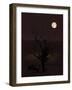 The View-Florent Bodart-Framed Giclee Print