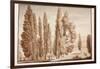 The Villa D'Este, 1833-Agostino Tofanelli-Framed Giclee Print