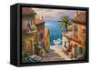 The Villa’s Private Dock-Sung Kim-Framed Stretched Canvas