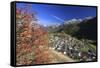 The Village of Ardez in Autumn in the Low Engadine. Swiss National Park. Switzerland. Europe-ClickAlps-Framed Stretched Canvas