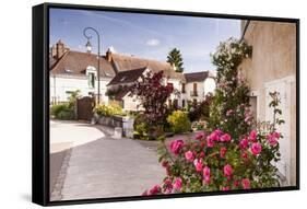 The Village of Chedigny, Indre-Et-Loire, Centre, France, Europe-Julian Elliott-Framed Stretched Canvas