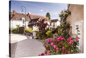 The Village of Chedigny, Indre-Et-Loire, Centre, France, Europe-Julian Elliott-Stretched Canvas