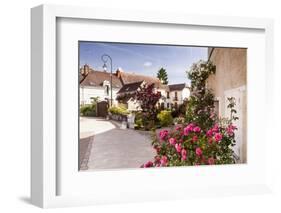 The Village of Chedigny, Indre-Et-Loire, Centre, France, Europe-Julian Elliott-Framed Photographic Print