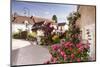 The Village of Chedigny, Indre-Et-Loire, Centre, France, Europe-Julian Elliott-Mounted Photographic Print