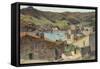 The Village of Collioure with a View of the Port-Henri Martin-Framed Stretched Canvas