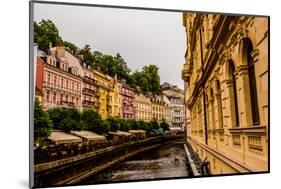 The Village of Karlovy Vary, Bohemia, Czech Republic, Europe-Laura Grier-Mounted Photographic Print