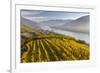 The Village Spitz in the Wachau. Austria-Martin Zwick-Framed Photographic Print