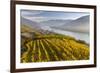 The Village Spitz in the Wachau. Austria-Martin Zwick-Framed Photographic Print