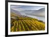 The Village Spitz in the Wachau. Austria-Martin Zwick-Framed Photographic Print