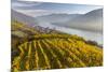 The Village Spitz in the Wachau. Austria-Martin Zwick-Mounted Photographic Print