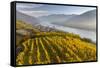 The Village Spitz in the Wachau. Austria-Martin Zwick-Framed Stretched Canvas