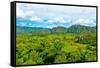 The Vinales Valley in Cuba, a Famous Tourist Destination and a Major Tobacco Growing Area-Kamira-Framed Stretched Canvas