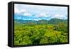 The Vinales Valley in Cuba, a Famous Tourist Destination and a Major Tobacco Growing Area-Kamira-Framed Stretched Canvas