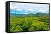 The Vinales Valley in Cuba, a Famous Tourist Destination and a Major Tobacco Growing Area-Kamira-Framed Stretched Canvas