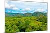 The Vinales Valley in Cuba, a Famous Tourist Destination and a Major Tobacco Growing Area-Kamira-Mounted Photographic Print