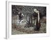 The Vine Dresser and the Fig Tree-James Tissot-Framed Giclee Print
