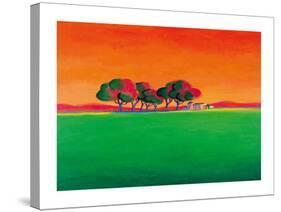 The Vineyard-Gerry Baptist-Stretched Canvas