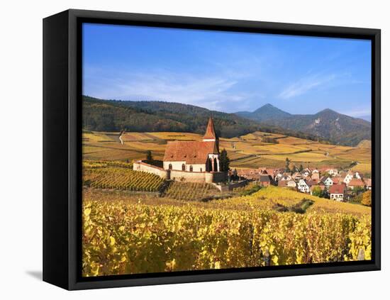 The Vineyards at Hunawihr, Alsace, France-Katja Kreder-Framed Stretched Canvas