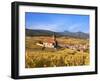 The Vineyards at Hunawihr, Alsace, France-Katja Kreder-Framed Photographic Print