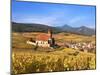 The Vineyards at Hunawihr, Alsace, France-Katja Kreder-Mounted Photographic Print