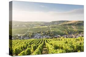 The vineyards of Sancerre above Chavignol, Cher, Centre, France, Europe-Julian Elliott-Stretched Canvas