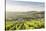 The vineyards of Sancerre above Chavignol, Cher, Centre, France, Europe-Julian Elliott-Stretched Canvas