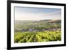 The vineyards of Sancerre above Chavignol, Cher, Centre, France, Europe-Julian Elliott-Framed Photographic Print