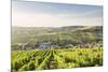 The vineyards of Sancerre above Chavignol, Cher, Centre, France, Europe-Julian Elliott-Mounted Photographic Print