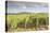 The vineyards of Sancerre, France. Known for its fine wines from grape varities such as pinot noir -Julian Elliott-Stretched Canvas