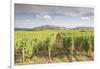 The vineyards of Sancerre, France. Known for its fine wines from grape varities such as pinot noir -Julian Elliott-Framed Photographic Print