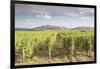 The vineyards of Sancerre, France. Known for its fine wines from grape varities such as pinot noir -Julian Elliott-Framed Photographic Print