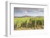 The vineyards of Sancerre, France. Known for its fine wines from grape varities such as pinot noir -Julian Elliott-Framed Photographic Print