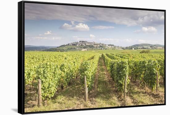 The vineyards of Sancerre, France. Known for its fine wines from grape varities such as pinot noir -Julian Elliott-Framed Stretched Canvas