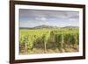 The vineyards of Sancerre, France. Known for its fine wines from grape varities such as pinot noir -Julian Elliott-Framed Photographic Print