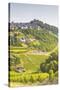 The Vineyards of Sancerre in the Loire Valley, Cher, Centre, France, Europe-Julian Elliott-Stretched Canvas