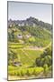 The Vineyards of Sancerre in the Loire Valley, Cher, Centre, France, Europe-Julian Elliott-Mounted Photographic Print