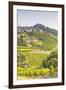 The Vineyards of Sancerre in the Loire Valley, Cher, Centre, France, Europe-Julian Elliott-Framed Photographic Print