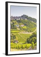 The Vineyards of Sancerre in the Loire Valley, Cher, Centre, France, Europe-Julian Elliott-Framed Photographic Print