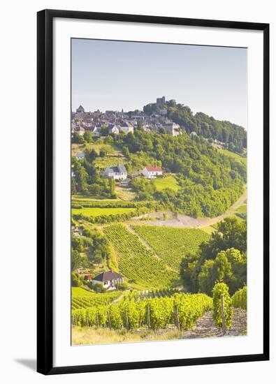 The Vineyards of Sancerre in the Loire Valley, Cher, Centre, France, Europe-Julian Elliott-Framed Photographic Print