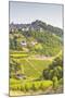 The Vineyards of Sancerre in the Loire Valley, Cher, Centre, France, Europe-Julian Elliott-Mounted Photographic Print