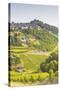The Vineyards of Sancerre in the Loire Valley, Cher, Centre, France, Europe-Julian Elliott-Stretched Canvas