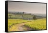 The Vineyards of Sancerre in the Loire Valley, Cher, Centre, France, Europe-Julian Elliott-Framed Stretched Canvas