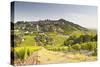 The Vineyards of Sancerre in the Loire Valley, Cher, Centre, France, Europe-Julian Elliott-Stretched Canvas