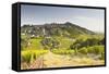 The Vineyards of Sancerre in the Loire Valley, Cher, Centre, France, Europe-Julian Elliott-Framed Stretched Canvas