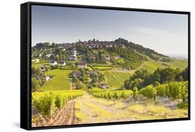 The Vineyards of Sancerre in the Loire Valley, Cher, Centre, France, Europe-Julian Elliott-Framed Stretched Canvas